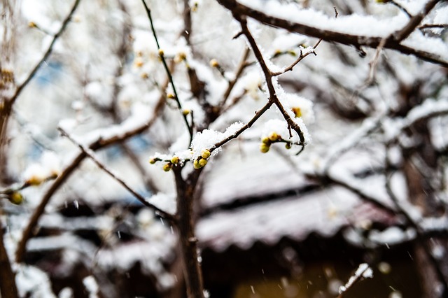 虽然他并不